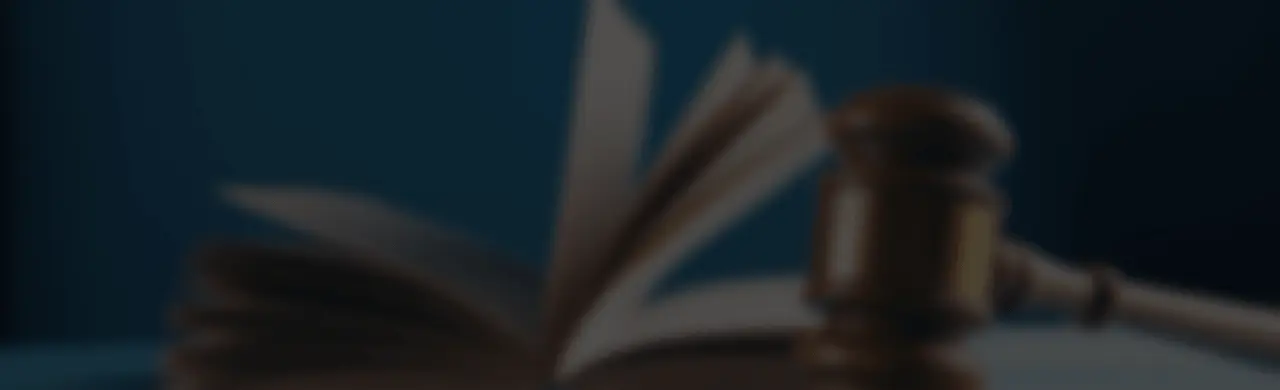 Court hammer and law book